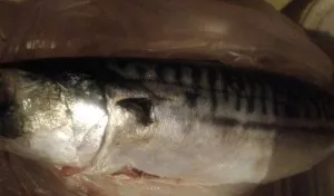 Since mackerel is quite fatty, it should be fried with vegetables in a sleeve. In this case, all the ingredients are prepared in their ow...