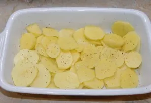Grease the baking sheet with oil and lay out the potatoes cut into circles. Sprinkle with salt and spices.