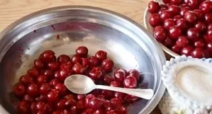 Cherries need to be well washed and sorted out. And then use a spoon or pin (or a special device) to remove the bones.