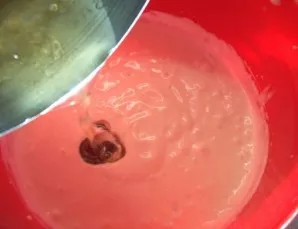 In a thin stream, pour gelatin and continue beating. We should get a homogeneous mass.