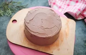 Coat the sides and top with the remaining cream and smooth out.