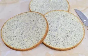 Lets start collecting the cake. Cut the biscuit into 3 layers.