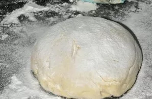 Knead the finished dough into a ball, sprinkle with flour and put in a bowl or pan. Cover the dough with a lid or towel and put in a warm...