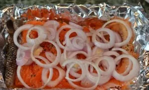 Spread thin onion rings on top of the fish fillet.