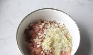 Add chopped onion and garlic.