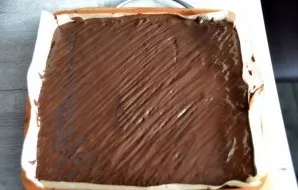 Brush the cake with chocolate icing and set aside in a cool place until the icing is completely solidified.