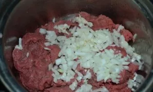 Add chopped onion and garlic.