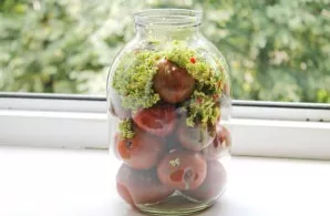 Place the chopped mass on the tomatoes and shake the jar a little to distribute the spices.