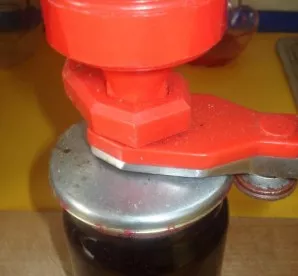 Pour the mass into sterilized jars, roll up hot jam, wrap in a blanket. Then transfer to the basement or refrigerator.