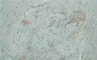 Put the wings in garlic sauce and roll them in it on all sides.