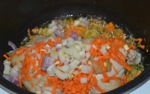 Add onions and carrots to the chicken 5 minutes after the start of the program.