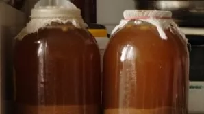 You can leave in a bucket or you can pour it into jars. Just do not fill them to the very top. We screw the neck of the jar with gauze an...