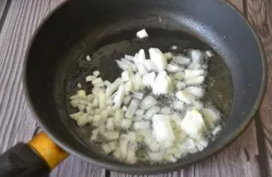 Fry the onion until transparent.