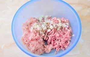Add chopped onion to the minced meat. Add salt and spices to taste. As spices, you can add ground bell peppers and dried herbs.