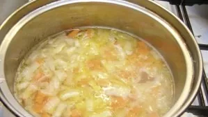 Bring the broth to a boil. Remove the chicken from it. Add rice, bring to a boil again. Then add the fried onions and carrots. Bring ever...