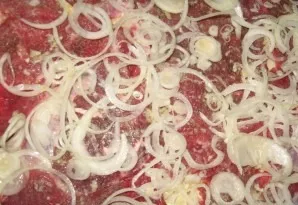 Sprinkle the beef with onion rings.