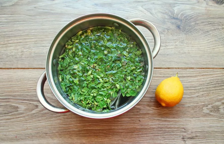 Add lemon juice to taste, mix and close the lid.