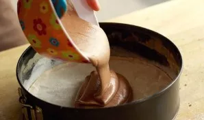 Divide the dough in half, pour each part into a greased and floured or lined with baking paper. Bake the cake at 180 degrees for 20-25 mi...