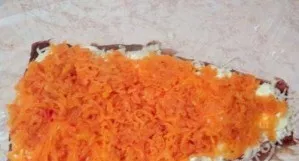Add grated carrots to the next layer.