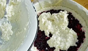 Spread currants on top. Spread the remaining curd-rice mixture on them.