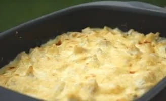 Chicken in bechamel sauce