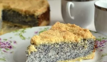 German poppy cake with cottage cheese